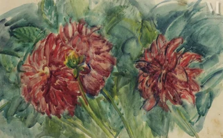 Les dahlias