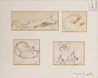 Études de chat