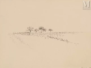 Les pommiers à Ogny